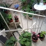 Bozena's